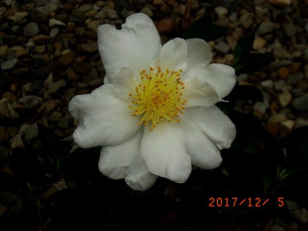 RIMG0029-1.jpg