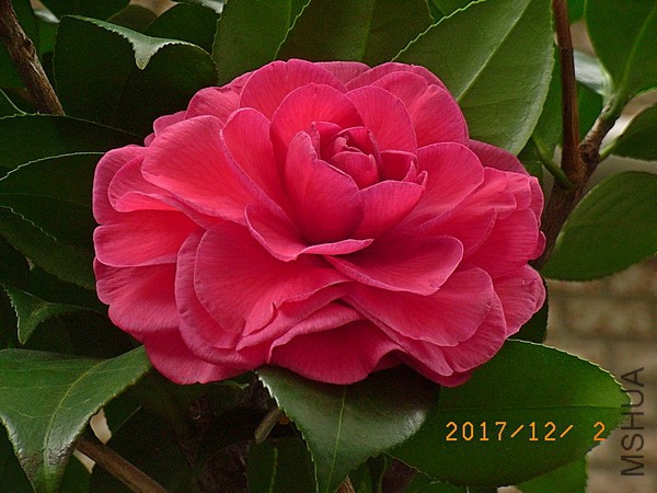 ؐ��a2.jpg