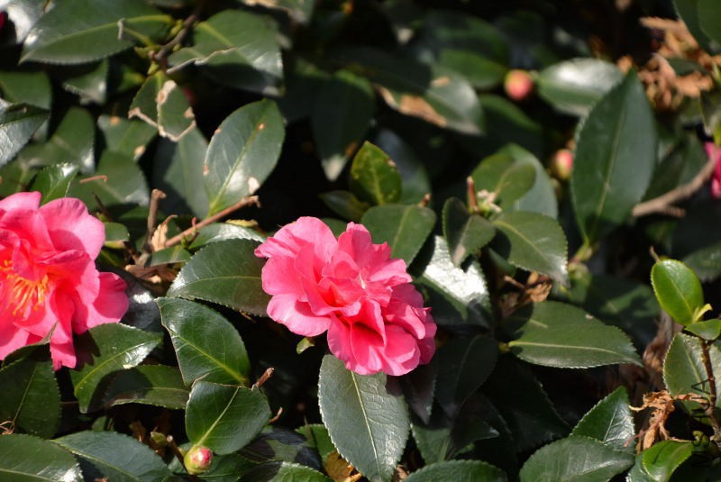 DSC_30310536.JPG