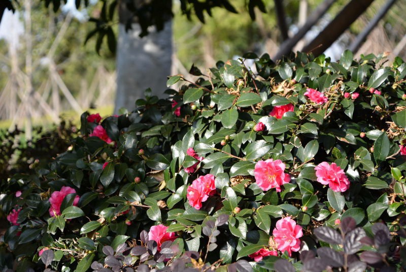 DSC_30340539.JPG