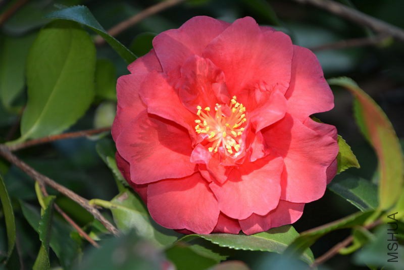 DSC_25440049.JPG