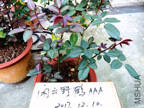 DSC07681_����_����.jpg