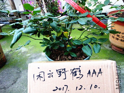 DSC07682_����_����.jpg
