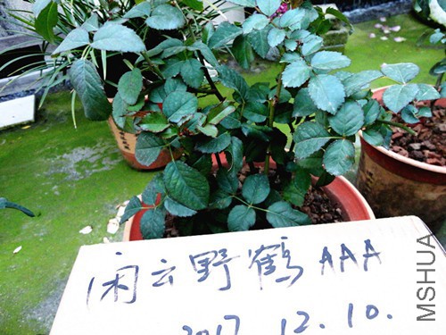 DSC07683_����_����.jpg