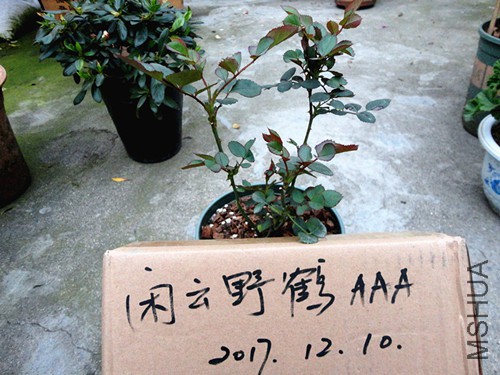 DSC07687_����_����.jpg