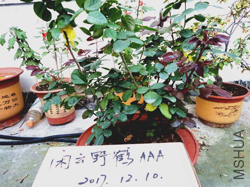 DSC07680_����_����.jpg