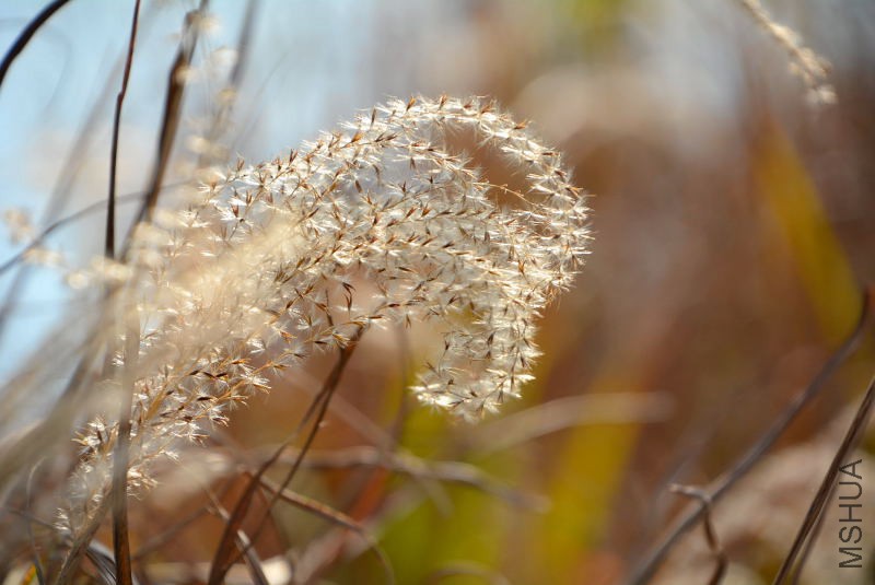 DSC_27020207.JPG