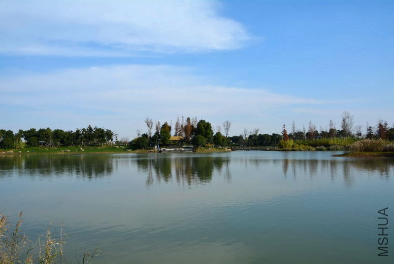 DSC_27260231.JPG