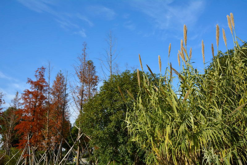 DSC_28870392.JPG