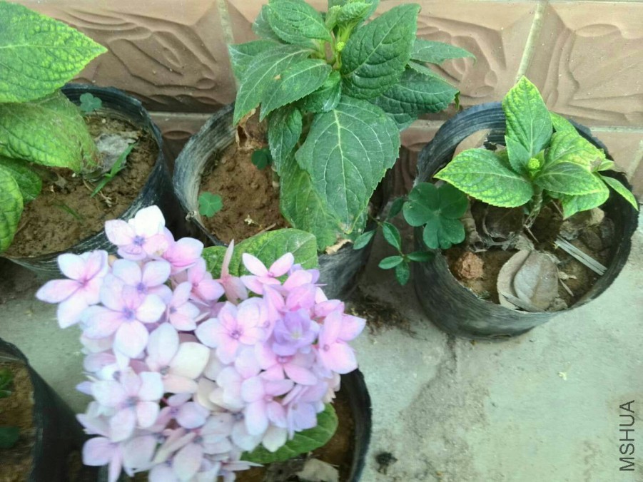 ���������л���