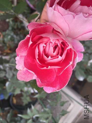 138C51CA-4B6D-4C95-849D-3D1C83249C38.jpeg