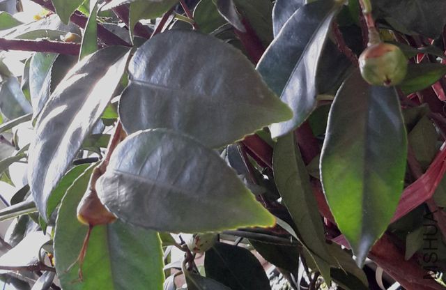 20171209_091046.jpg