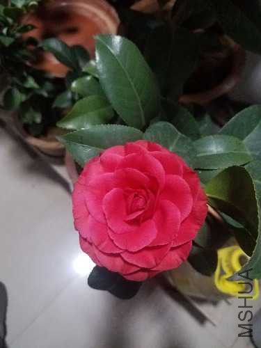 20171212_185049.jpg
