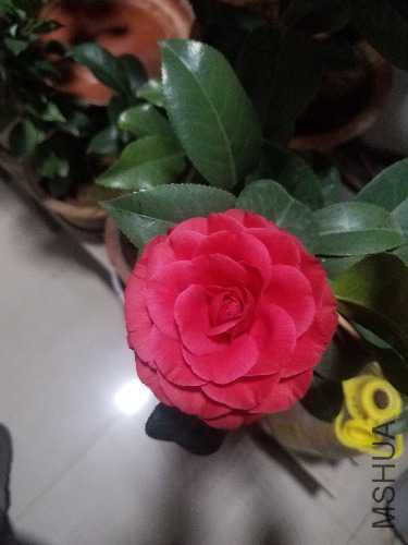 20171212_185047.jpg