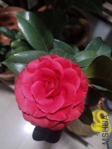 20171212_185038.jpg