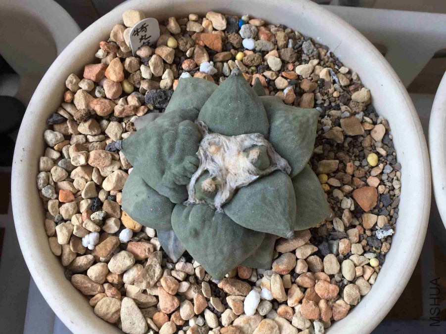 11 (12).JPG