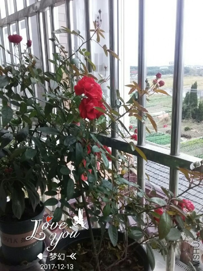 QQͼƬ20171213101644.jpg