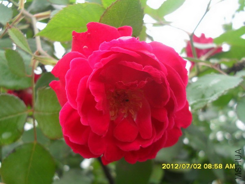 SDC13570.jpg