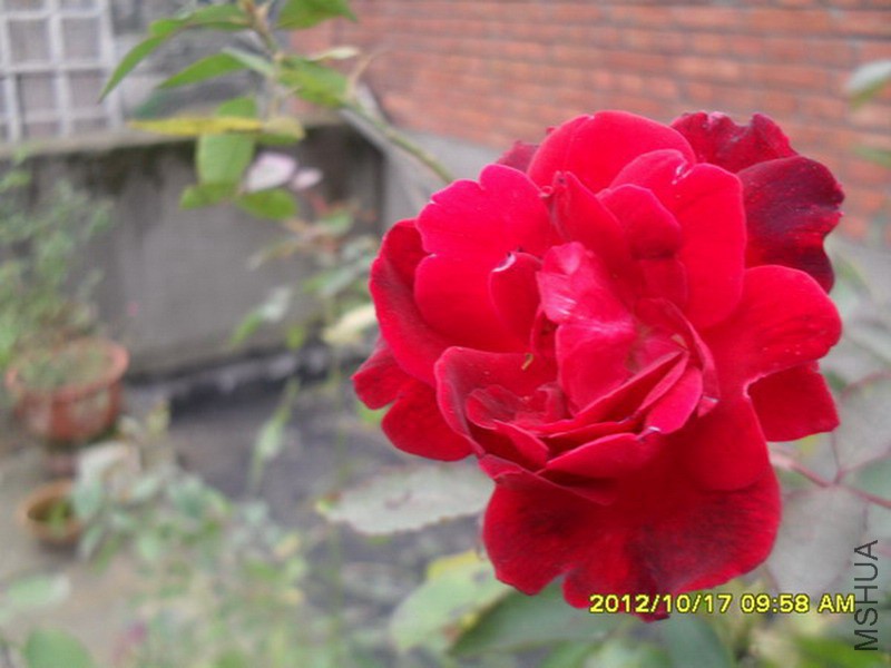 SDC14644.jpg
