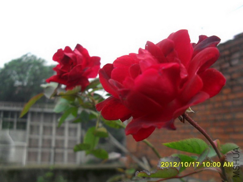 SDC14649.jpg