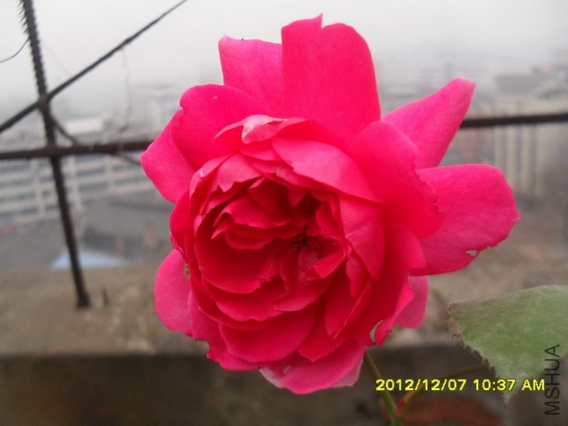 SDC14923.jpg