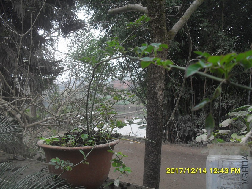 SDC15250.jpg