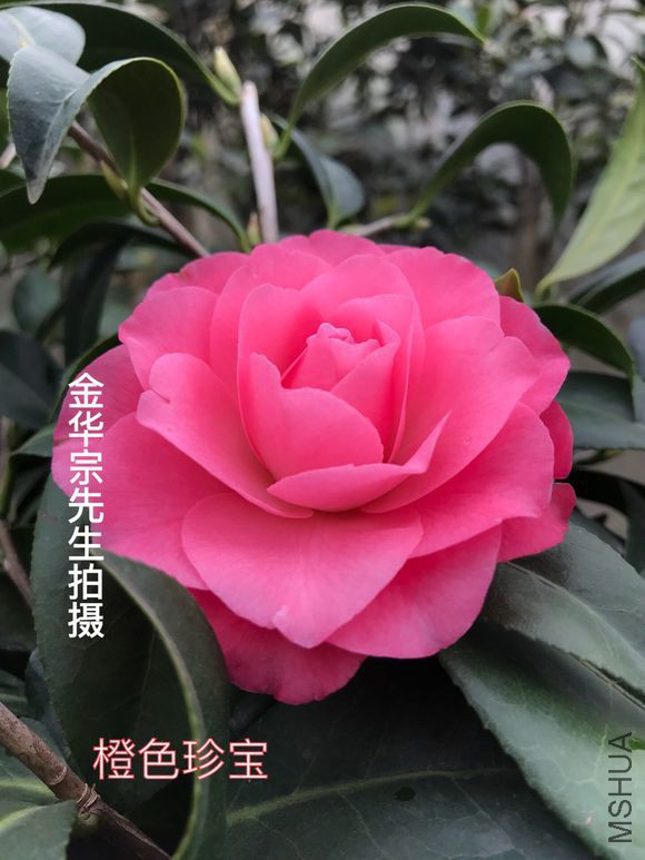 f703918fa0ec08fa72e5252d52ee3d6d54fbda56.jpg