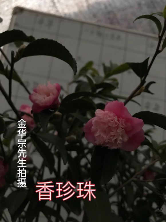 8794a4c27d1ed21bfb4ccf6da66eddc450da3fb5.jpg