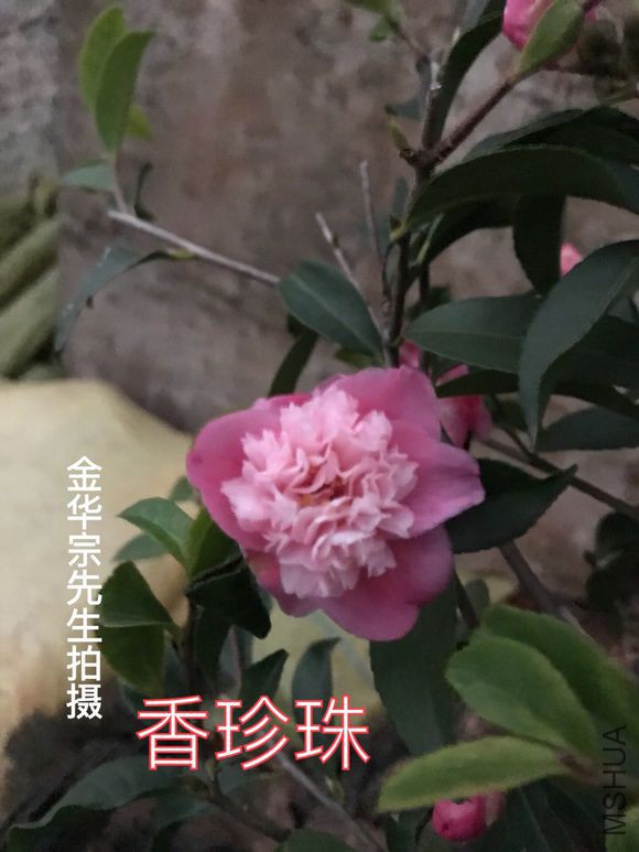 a0ec08fa513d26970d57e9d55efbb2fb4216d8b6.jpg