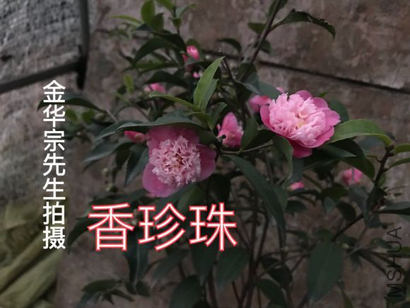 e5dde71190ef76c60a571aa39616fdfaae5167b5.jpg