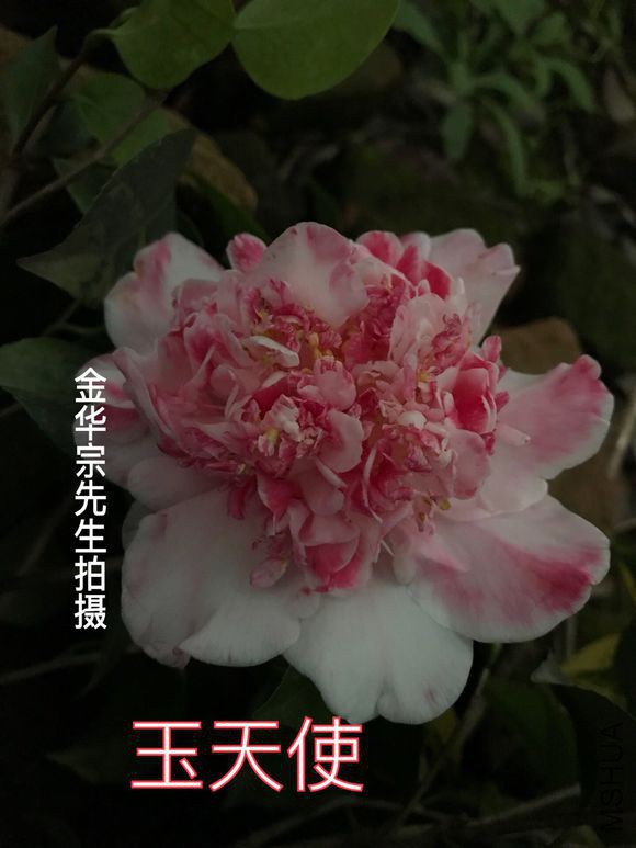 9245d688d43f87945069afa6d91b0ef41ad53aa0.jpg