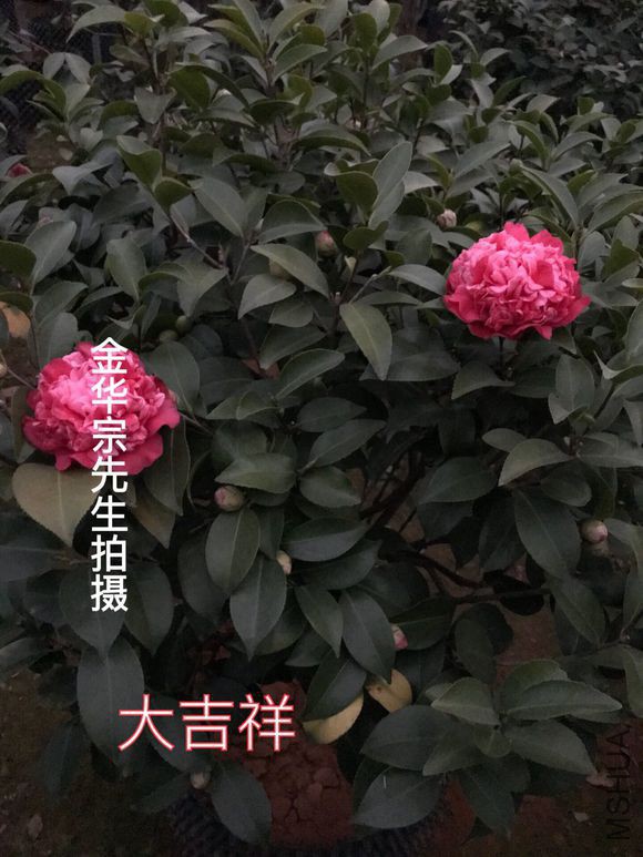 1f30e924b899a9010eeebfbe16950a7b0308f55b.jpg