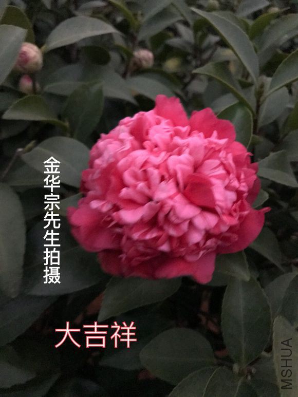 ab64034f78f0f736b325a8890155b319eac4135a.jpg