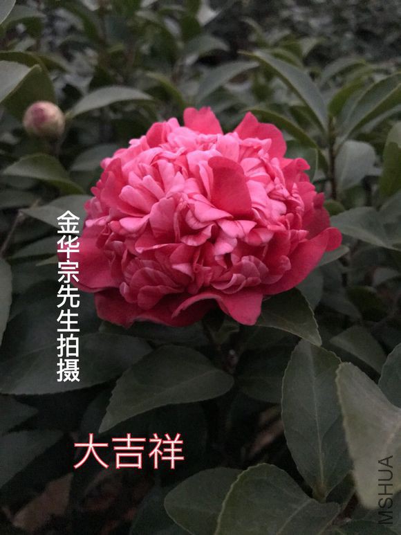 a786c9177f3e67092bdba17730c79f3df9dc555b.jpg