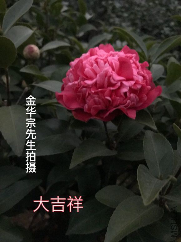 fdfaaf51f3deb48f3bb14556fb1f3a292cf5785a.jpg