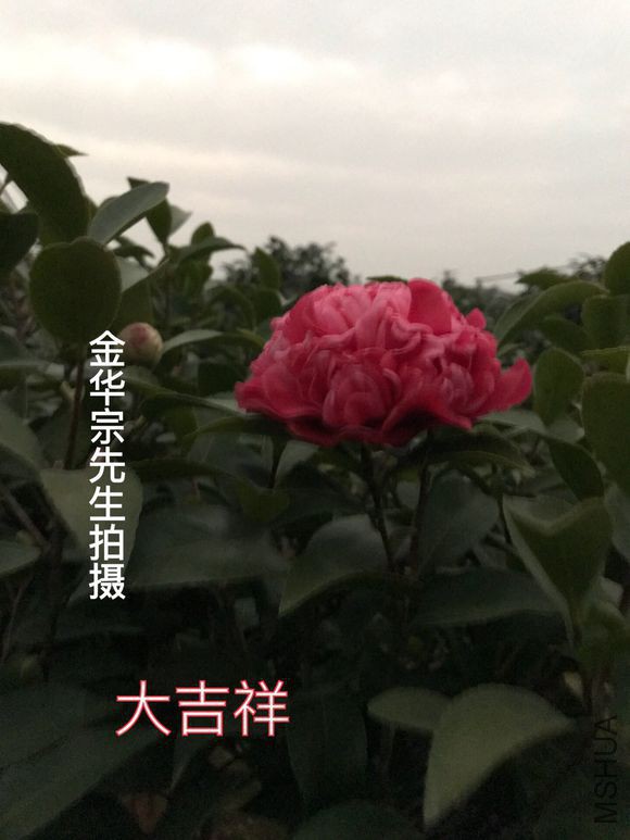 d158ccbf6c81800ac90c6d86ba3533fa838b4749.jpg