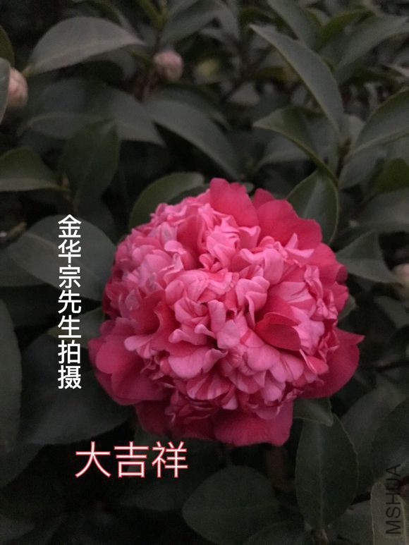 d7ca7bcb0a46f21fd7ddbadbfd246b600d33ae49.jpg