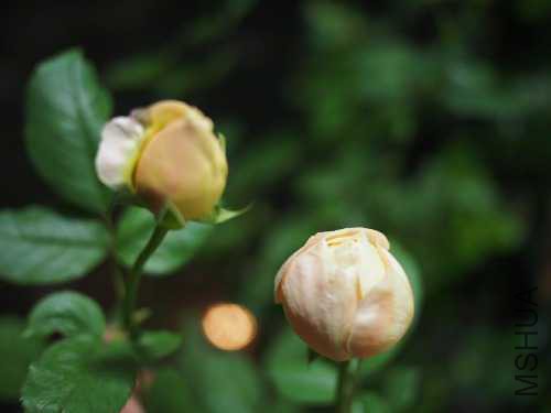 PC124013.JPG