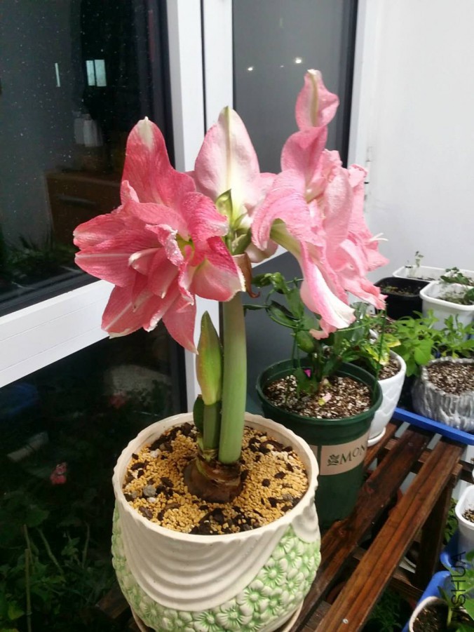 ΢��ͼƬ_20171215095239.jpg