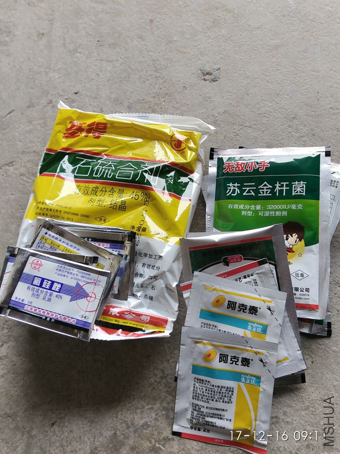 IMG_20171216_091132_AO_HDR.jpg