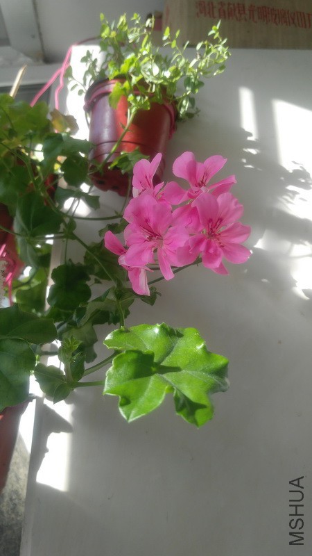 20171217_01.jpg