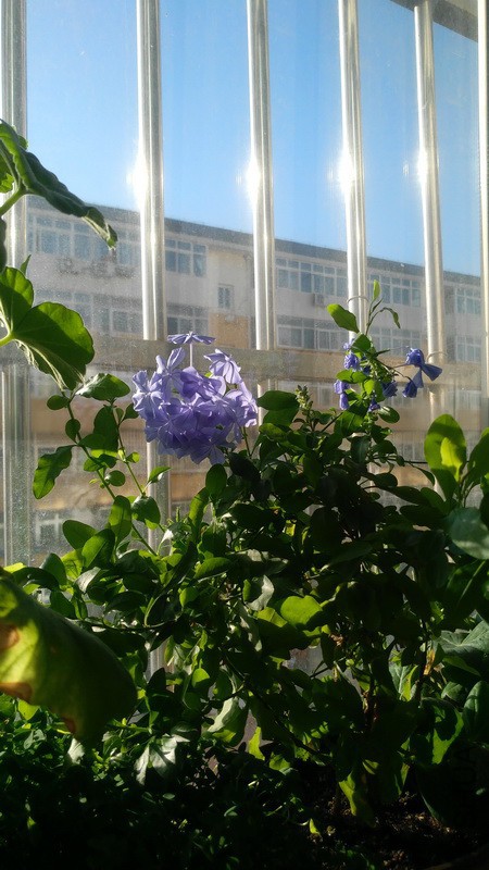 20171217_03.jpg