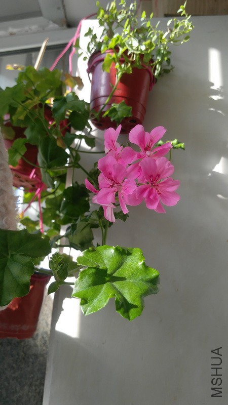 20171217_02.jpg