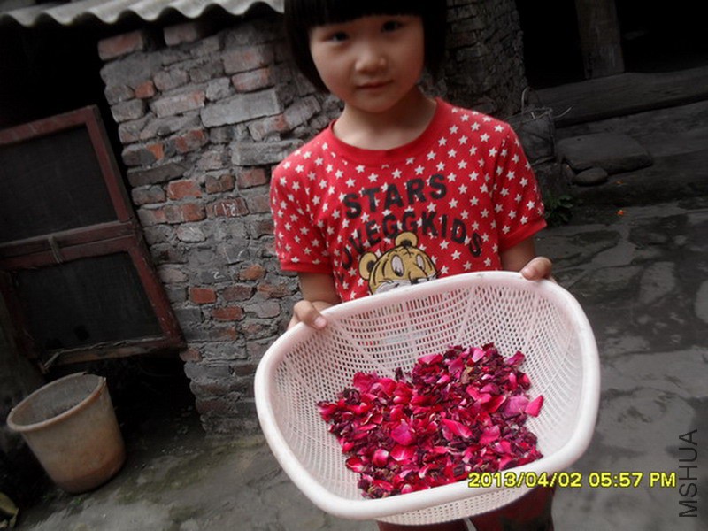 SDC16395.jpg