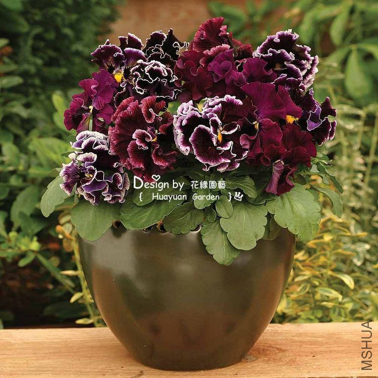 TB2zBgCXtwmyKJjSZFoXXbmBXXa_!!38931262.jpg