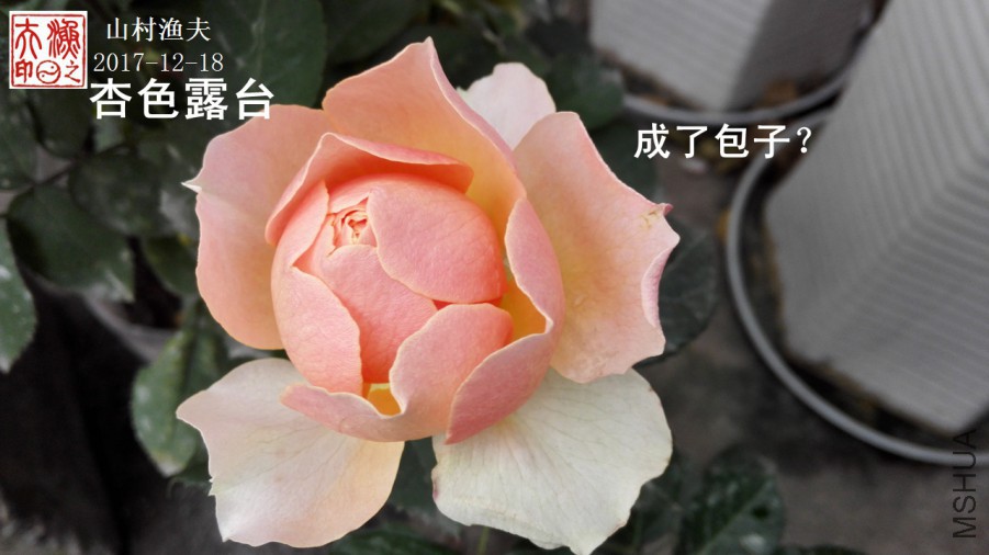 06.jpg