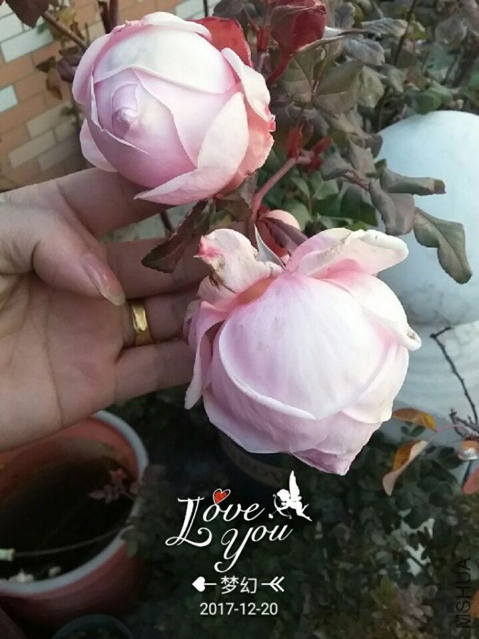 QQͼƬ20171220082452.jpg
