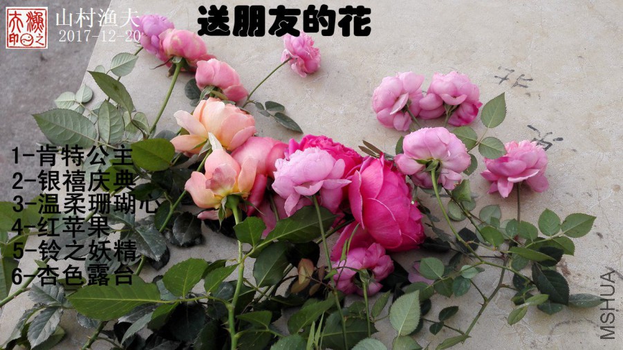 A02.jpg