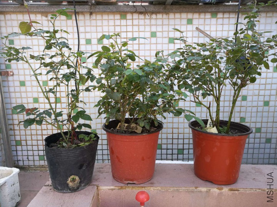 ΢��ͼƬ_20171221153134.jpg