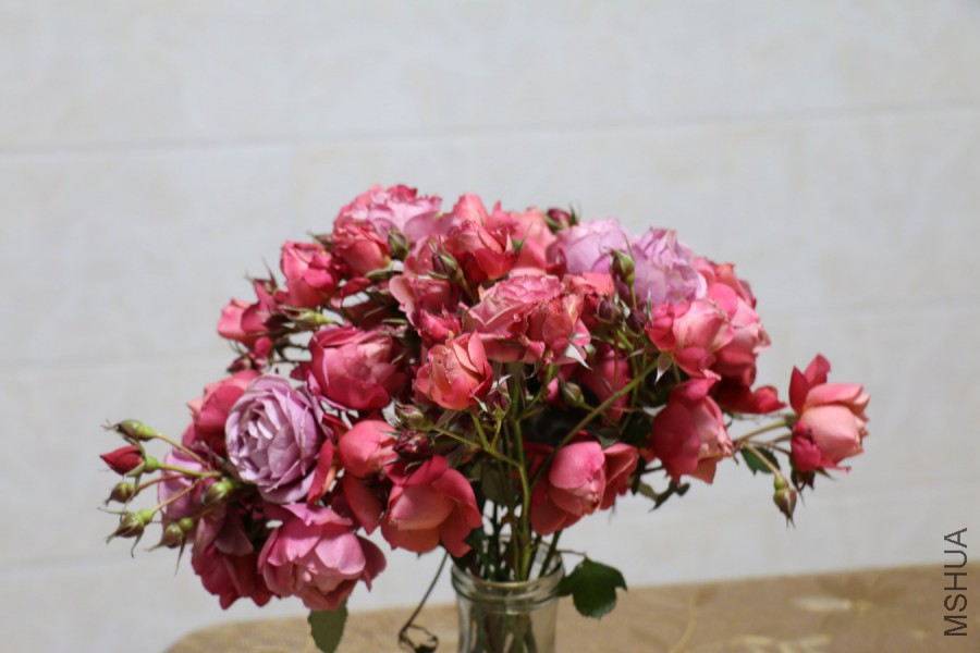 IMG_9051.jpg